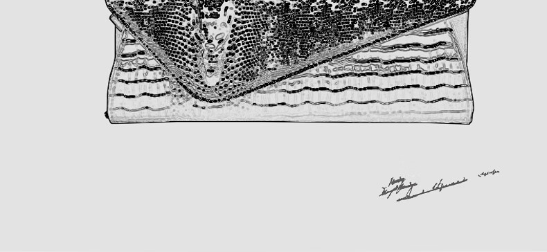56d9909cba5b896e.jpg