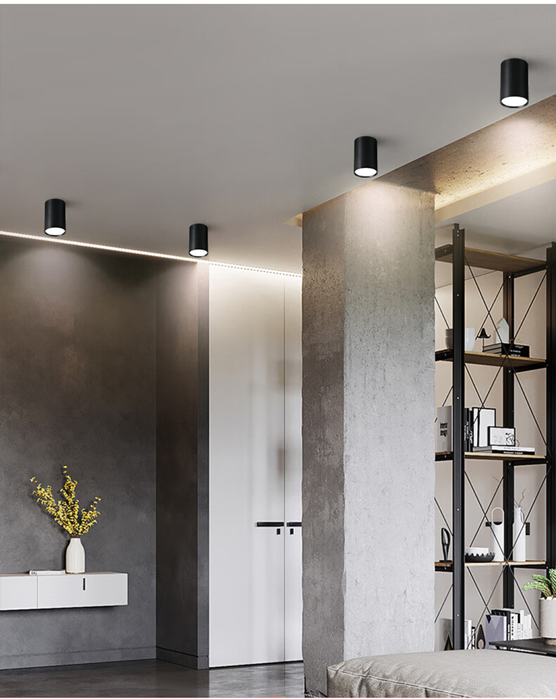 朴珀妮明装筒灯吊线餐厅前台吧台吊灯长桶圆形吊装led射灯10w20w30瓦