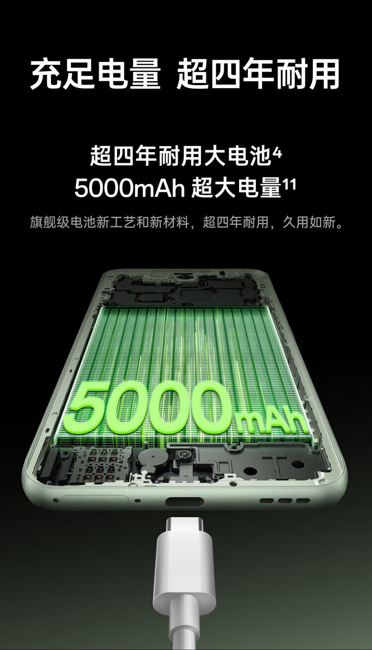 5b6fef3f2eb52113.jpg