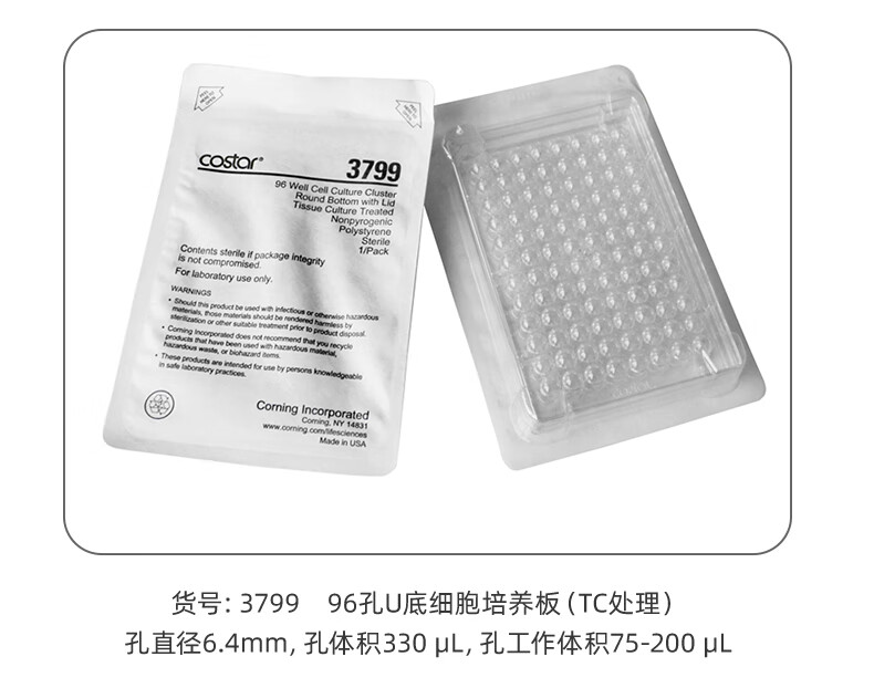 661a1f1e245ce112.jpg