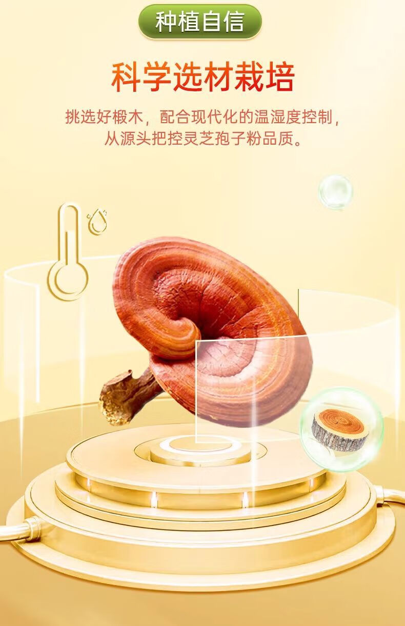 c90d6cdb3730c574.jpg