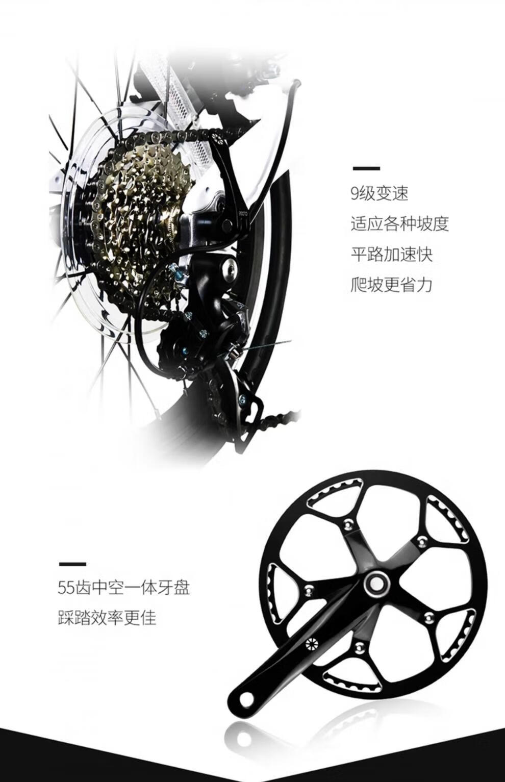 a1246d7c74a40cdd.jpg