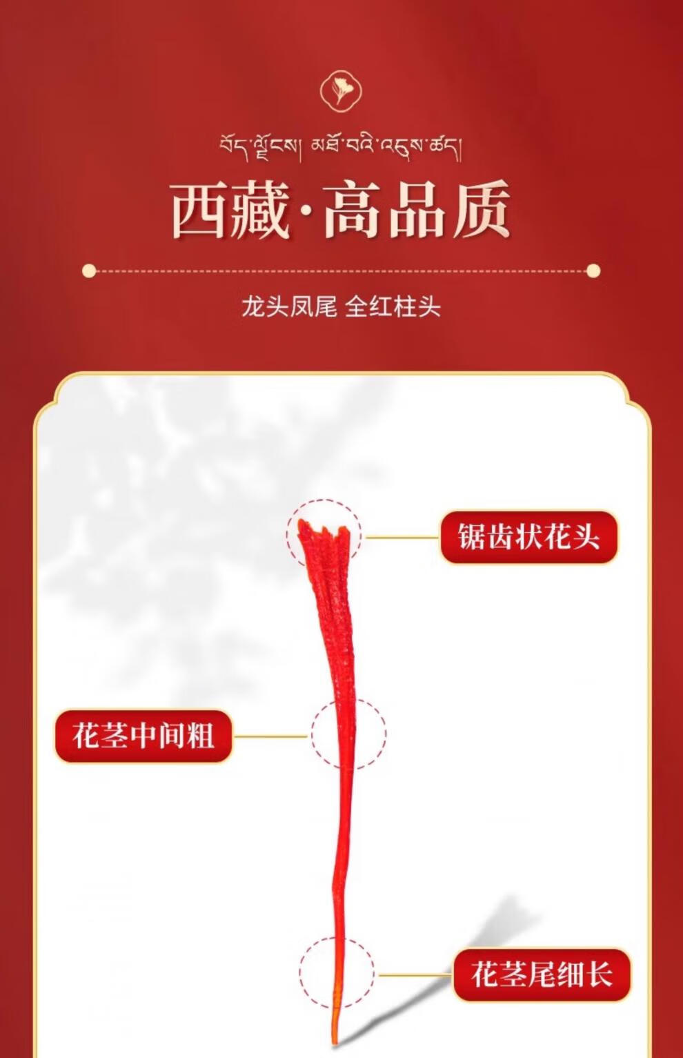 b383852c6997ce1f.jpg