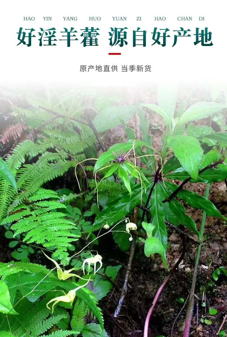 1dd9d76e61835a13.jpg