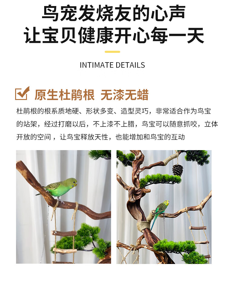 818aefe592a9d622.jpg