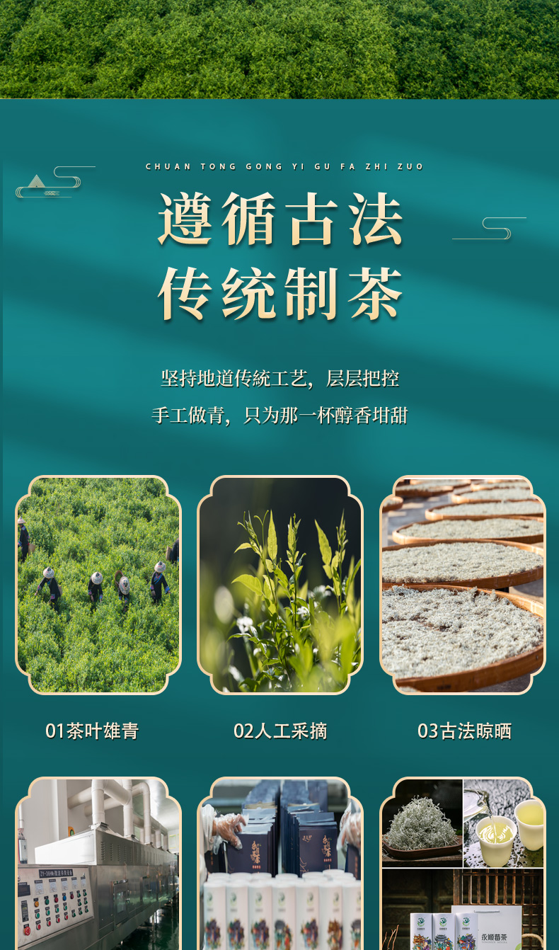 古溪州湘西永顺2022新龙须莓茶特级野生张家界龙须芽尖土家特产50g1罐