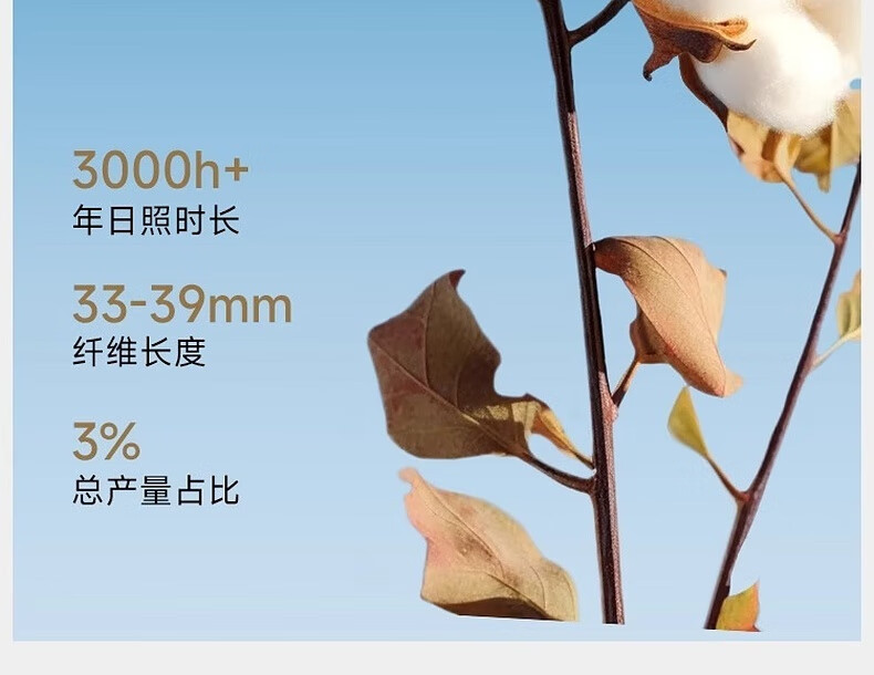 e7573738e28b7db5.jpg