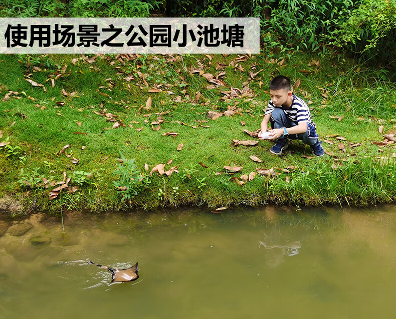 e2d1e71cc384994f.jpg