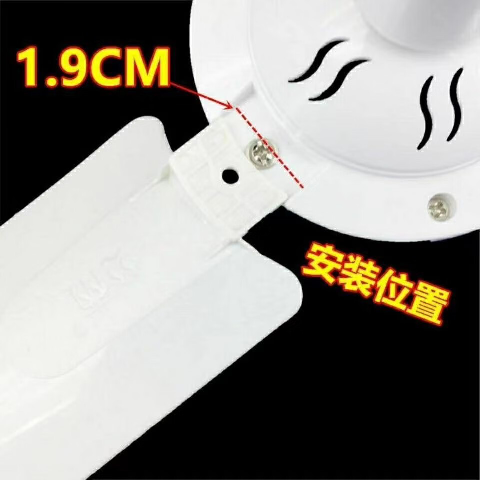068db8639442ba38.jpg