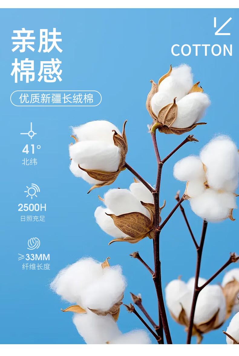 5ae6976a9728f74d.jpg