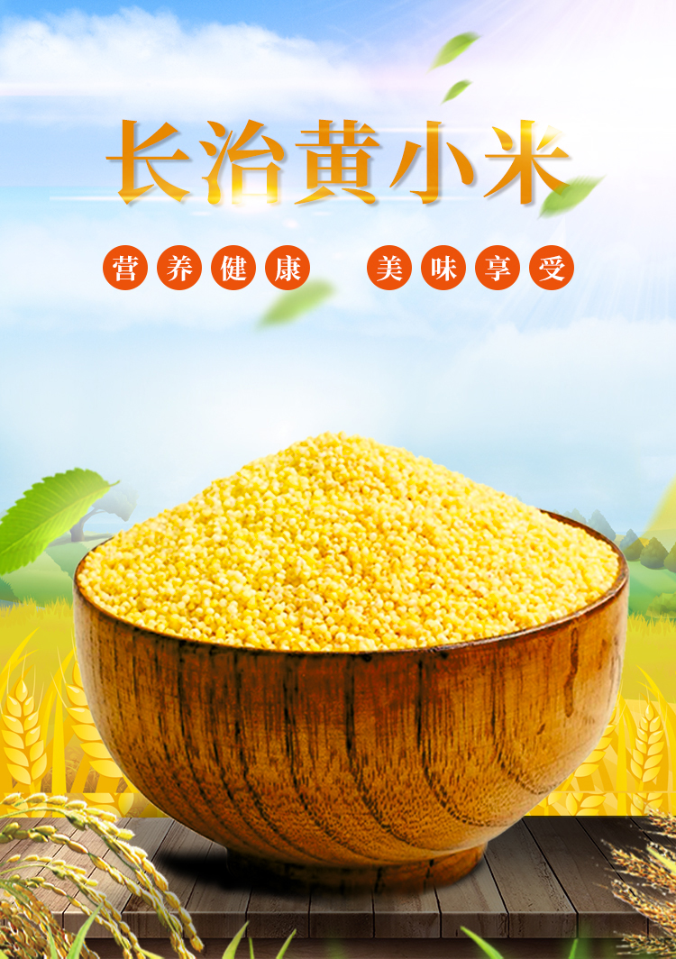 晨臻 山西小米沁县黄小米新米小米小米杂粮5斤装小米粥宝宝小黄米