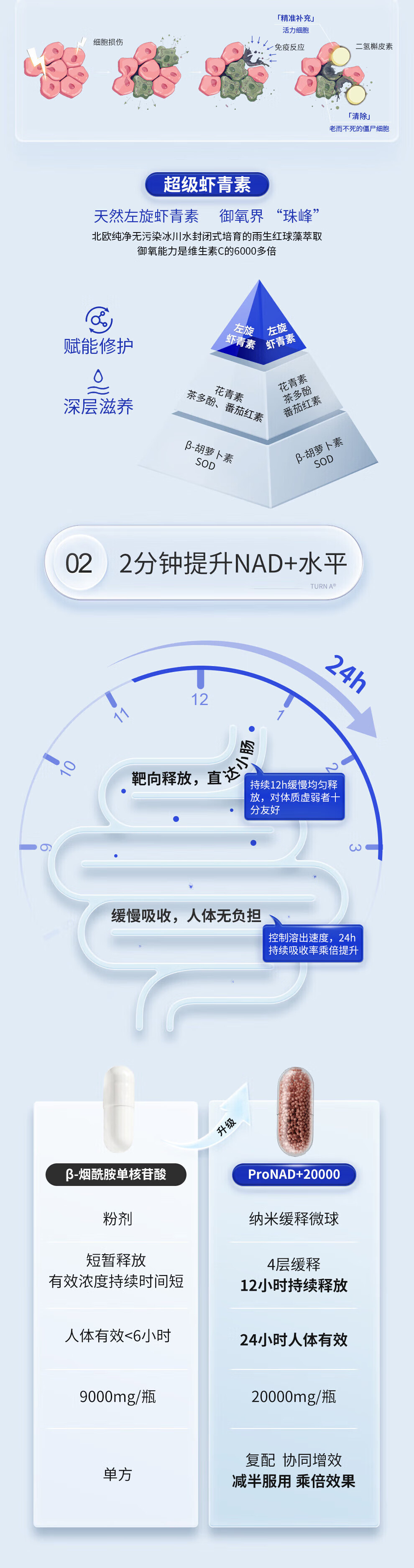 74ad6bbb7fc0085d.jpg