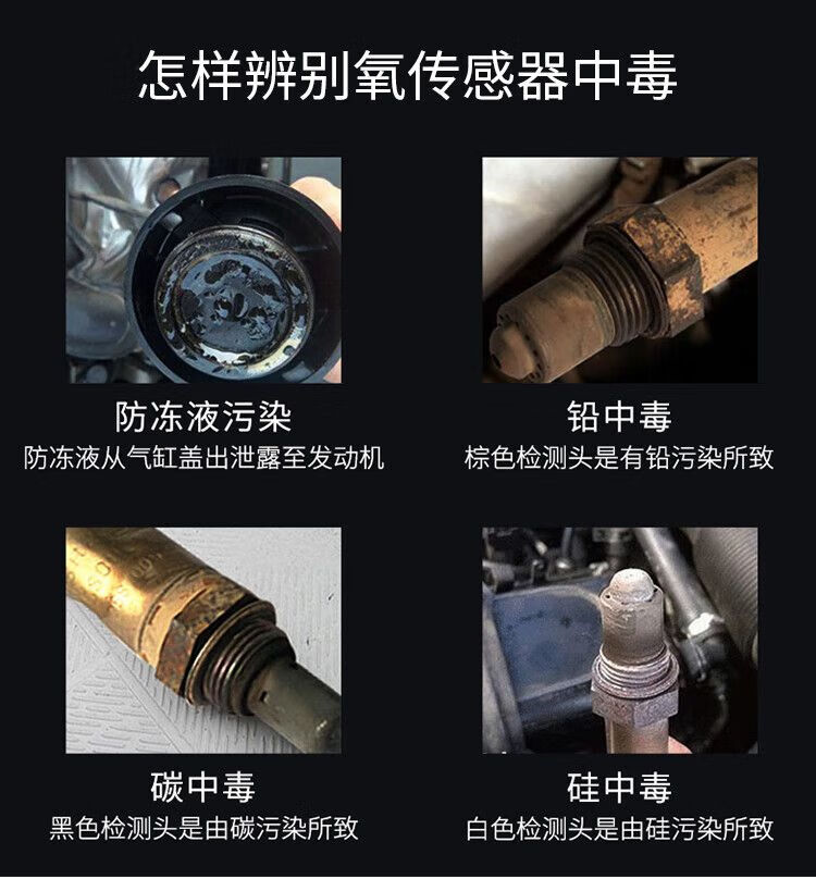 e09a4e91d59273cc.jpg