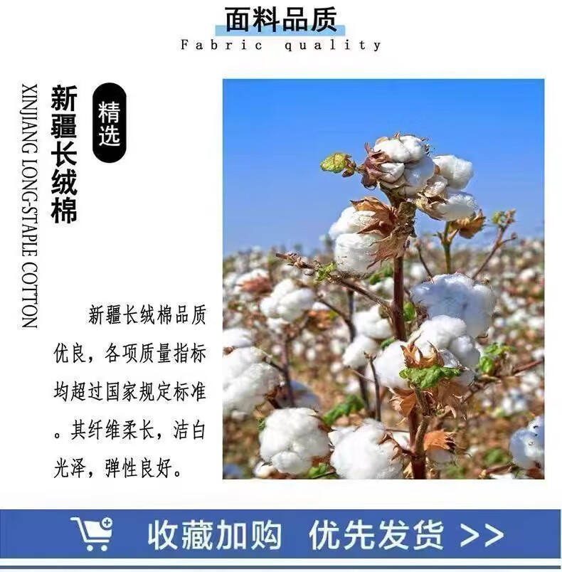 cd2c12cded18035f.jpg