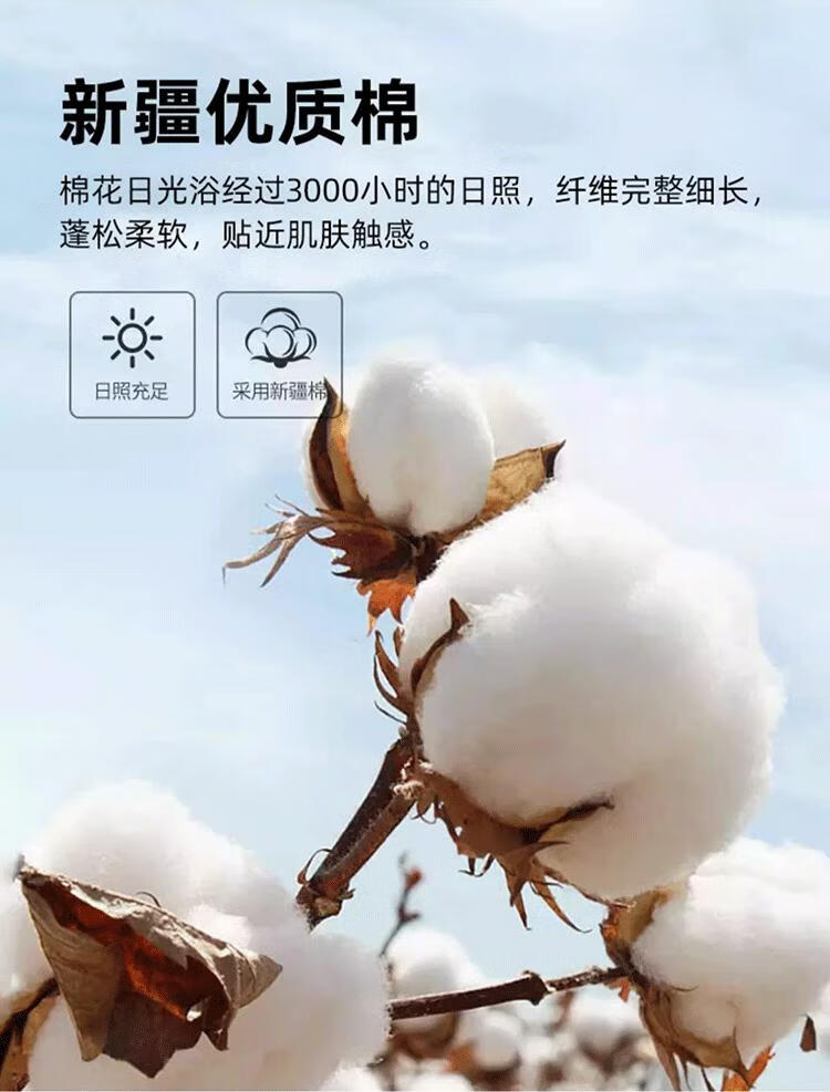 81c336c1b34d216a.jpg