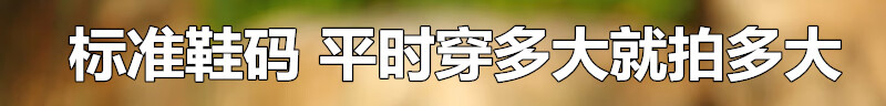 b97163fd49003d61.jpg