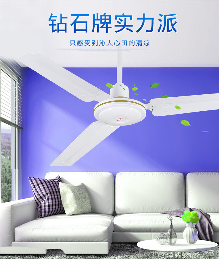 509de7367fdd86d5.jpg