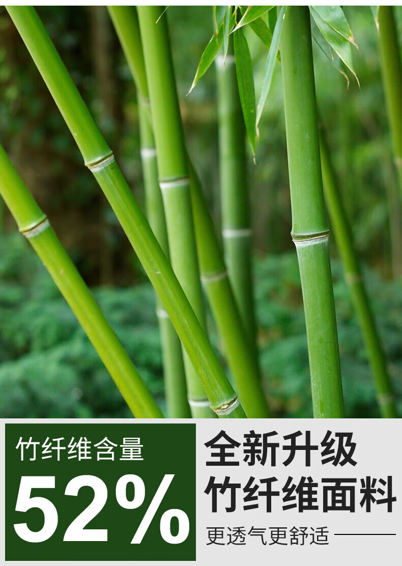 cde5c0236b36525b.jpg