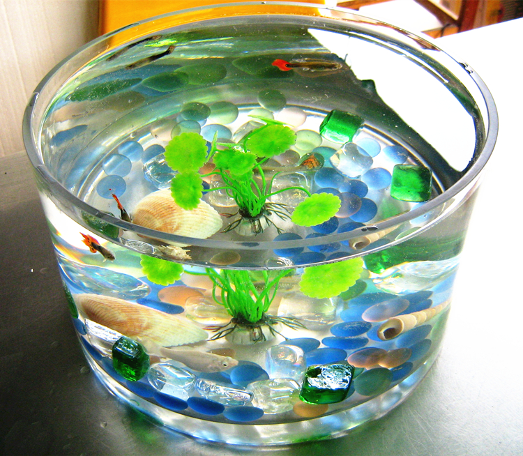 出口大号直筒玻璃鱼缸乌龟缸睡莲水培超白圆形圆柱直桶缸 直径12高12