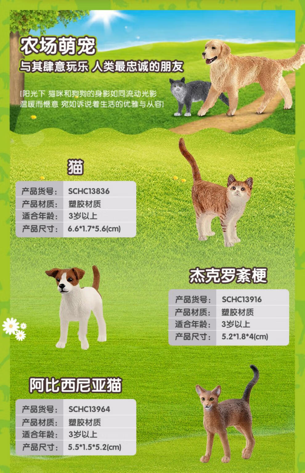 a6f00dd39a189004.jpg