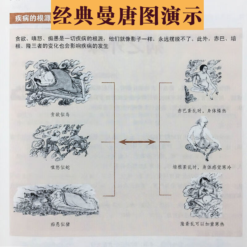 a3e443d0c8847b6c.jpg