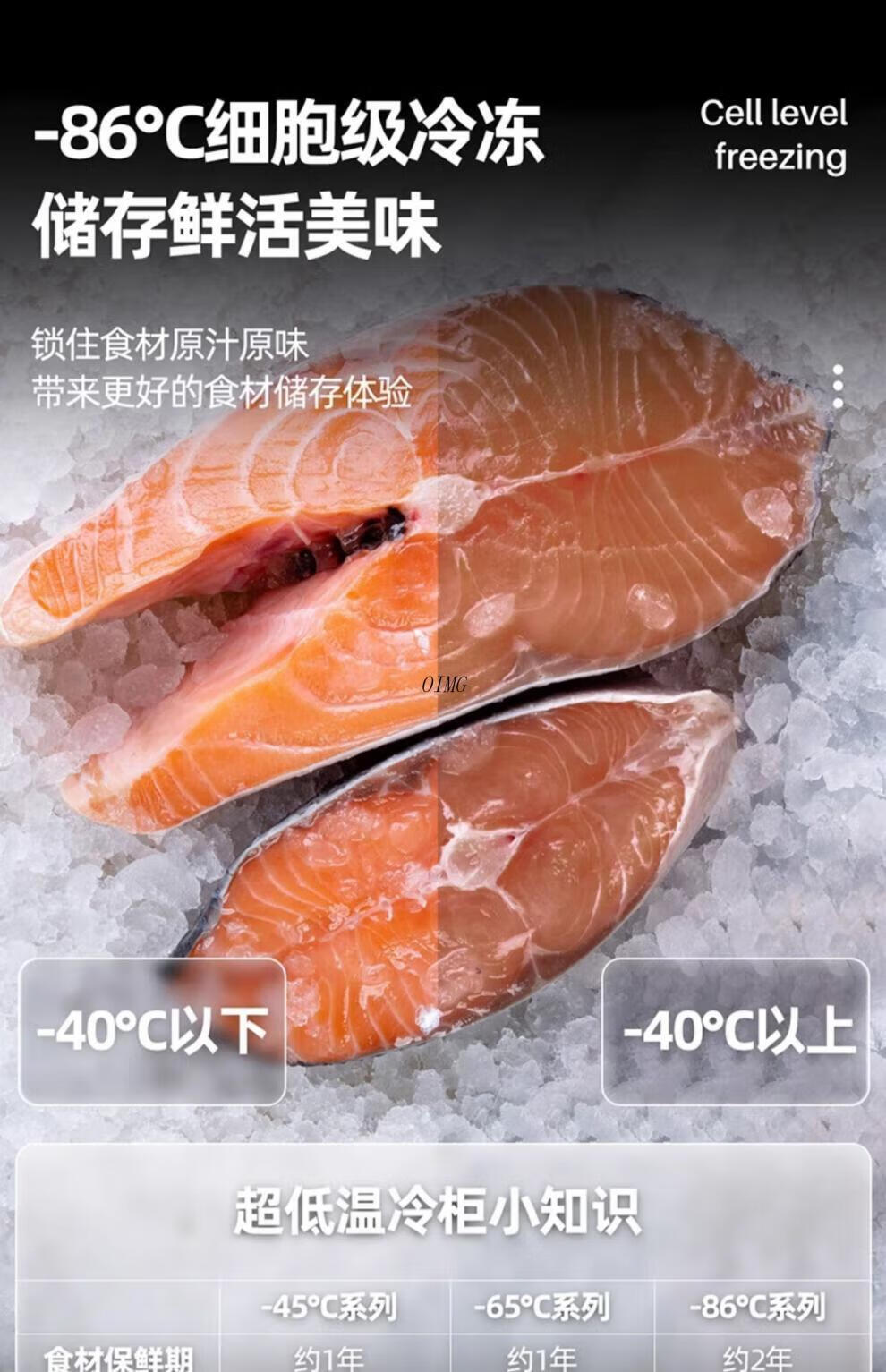 03bd9d3637cdd6f0.jpg