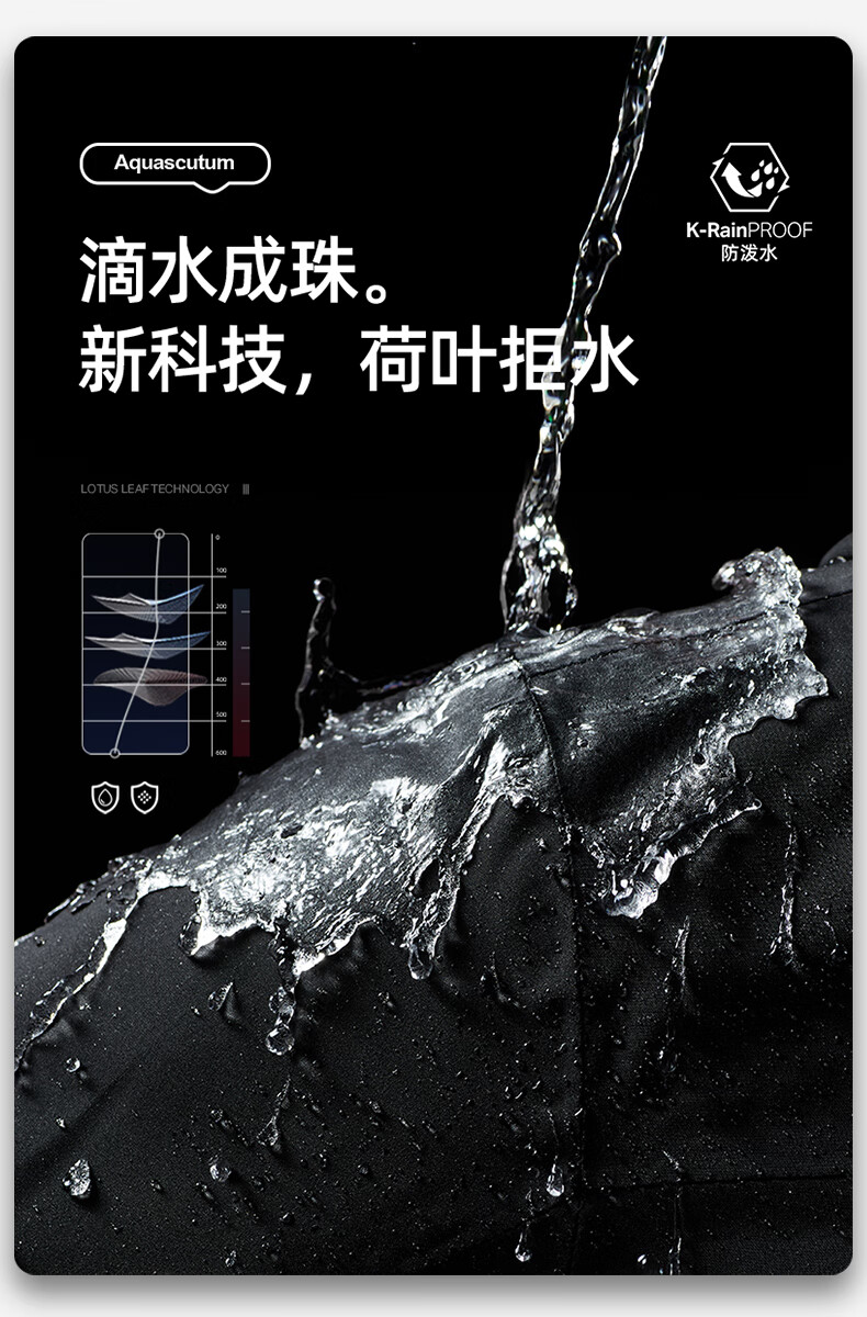 eceb2cc6d10853a1.jpg