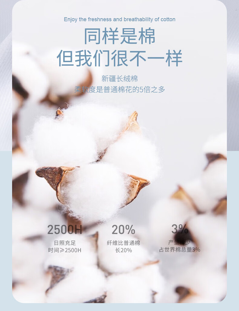18d7723ab6411489.jpg