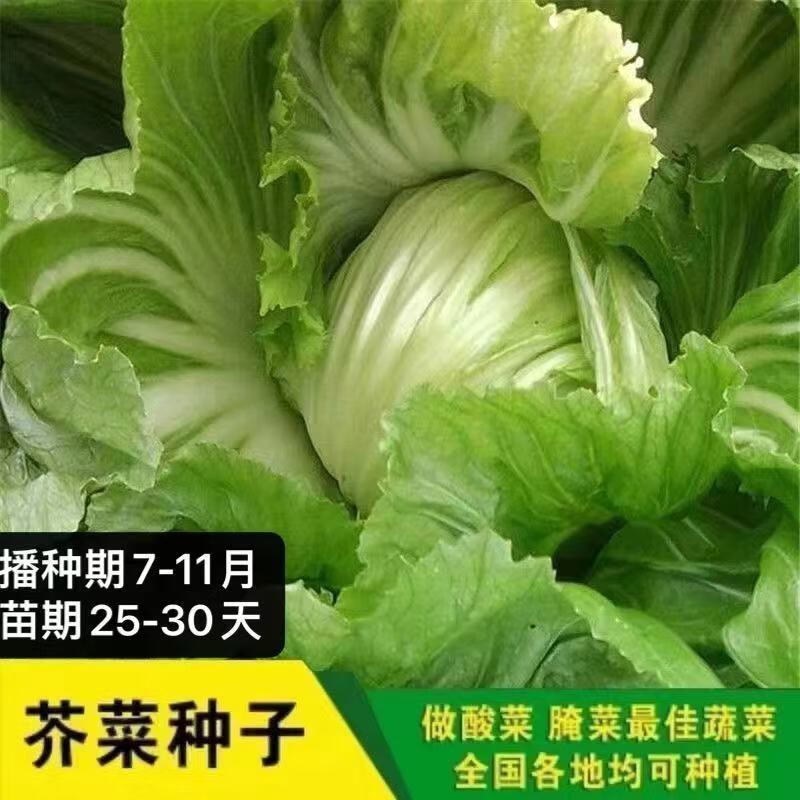 142dd767a8ec8039.jpg