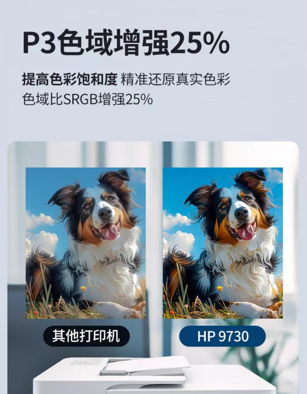934d179f7a91ff67.jpg