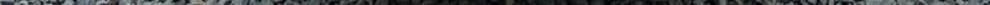 ca8d3d2d19110ba4.jpg