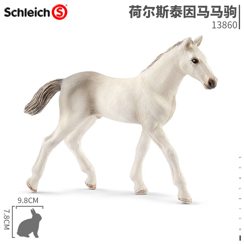 2e8286c682264e06.jpg