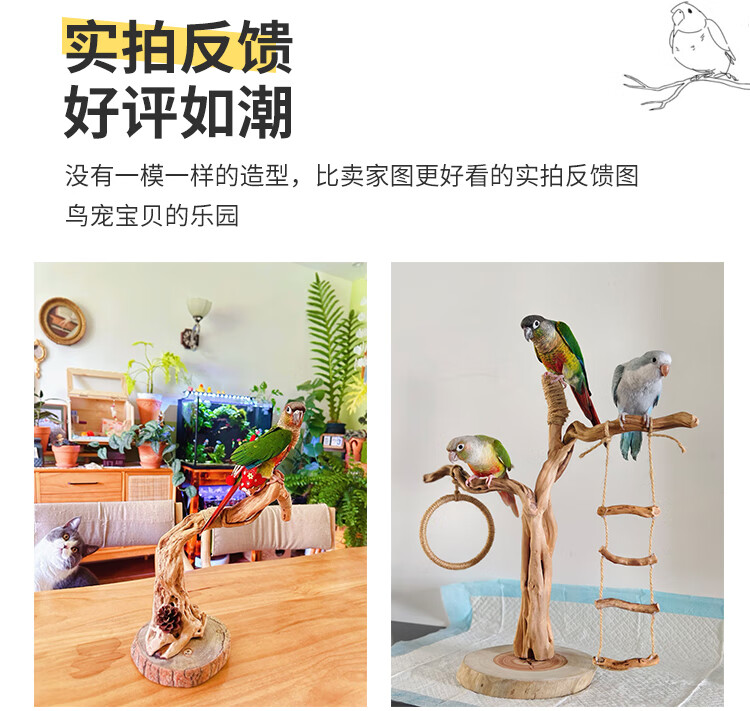 9198b045d2f1c989.jpg