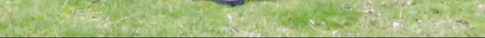 d30f55c00e5cc436.jpg