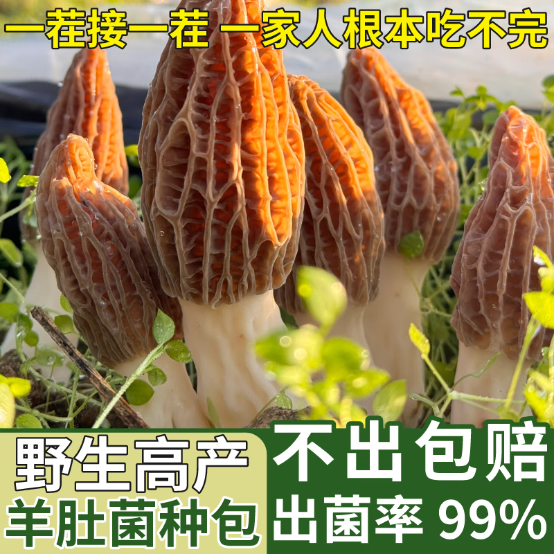 c2c48779fb97f016.png