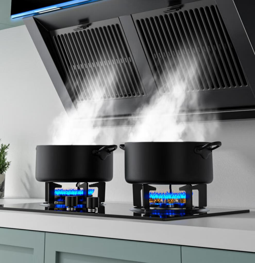 全新升级厨卫抽油烟机 日本樱花油烟机厨房家用租房抽油烟机顶吸式