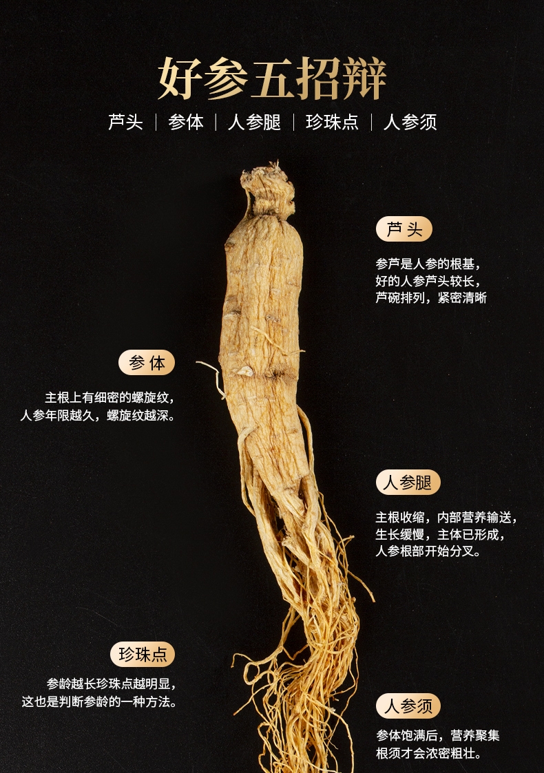 参人叁林下白参新鲜生晒干货泡酒泡水煲汤药材 两盒共10棵人参【图片