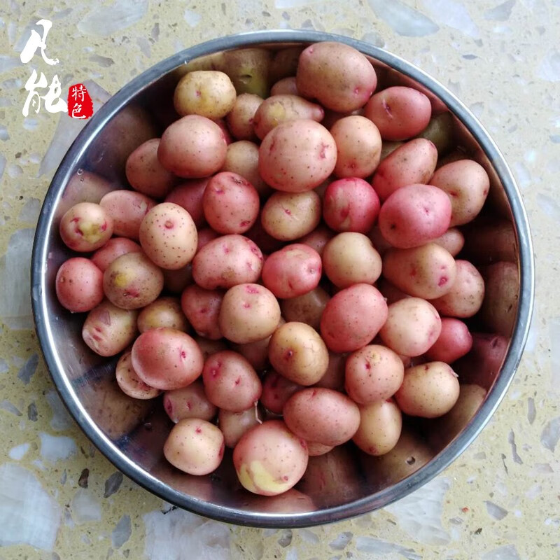 云南红皮小土豆新鲜黄心迷你洋芋马铃薯4000g年货 4000g*2