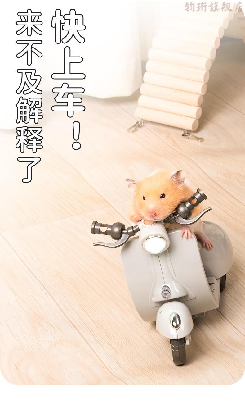 小仓鼠骑车仓鼠玩具车抖音同款旋转电动小摩托车炫技金丝熊解闷玩具