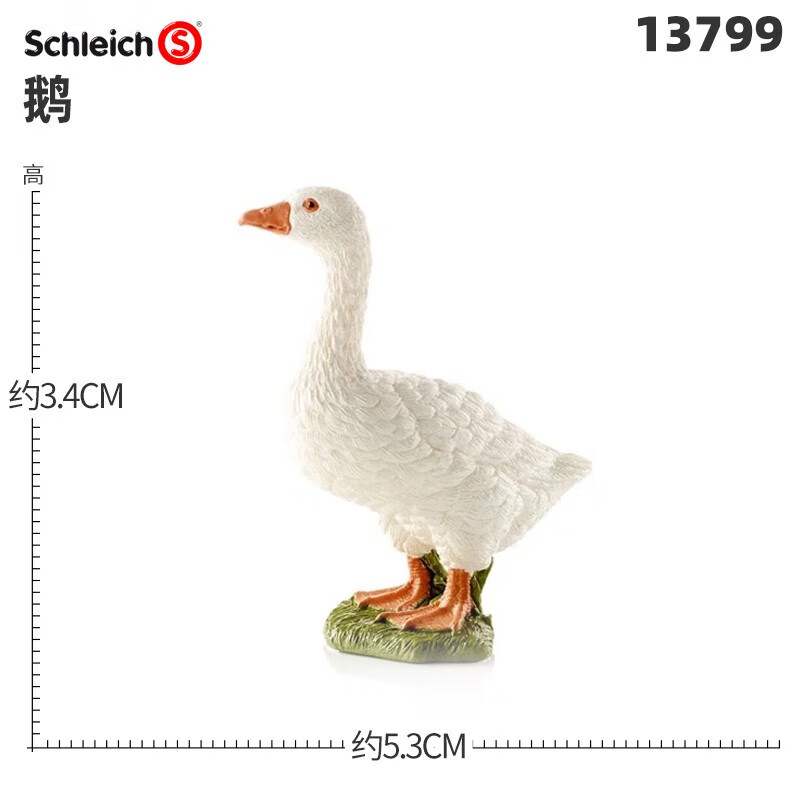 fd1320abc8554e97.jpg