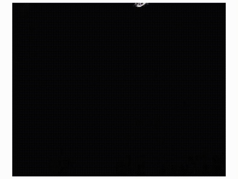 f7e8584e33f3146b.jpg