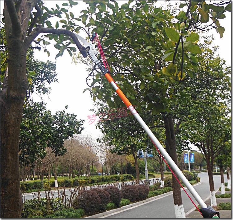 3575米高空剪刀锯伸缩杆修树枝高枝剪果树家用园艺剪工具香椿旗舰版75