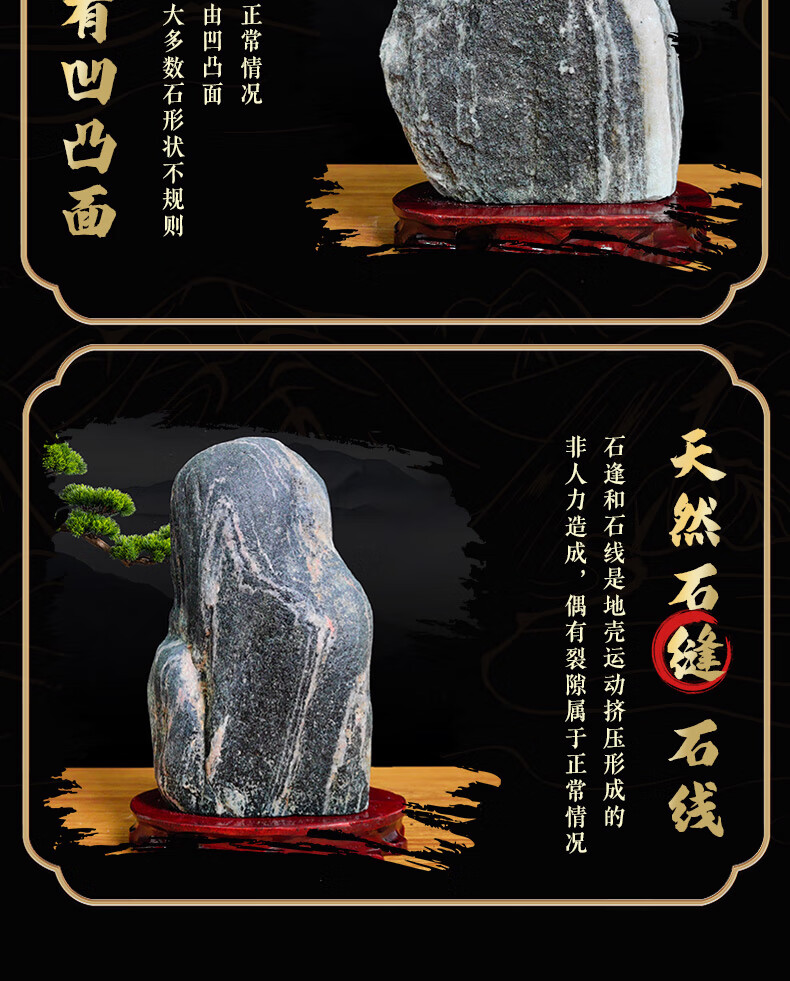 d878c091d2459373.jpg