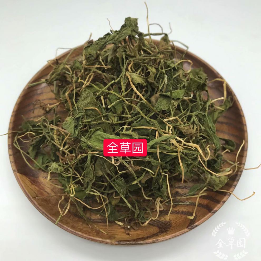 蛇须草的功效及图片图片