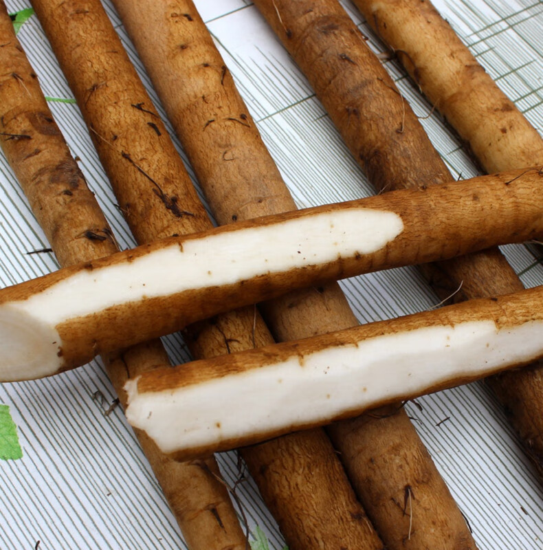 牛蒡现挖农家自种牛蒡根新鲜黄皮牛蒡 10斤 牛蒡