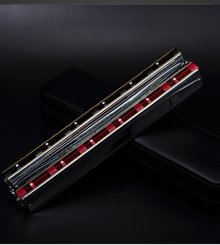 国光口琴 24组双联和弦合奏48组双排乐队团体专业演出演奏乐器 双联24