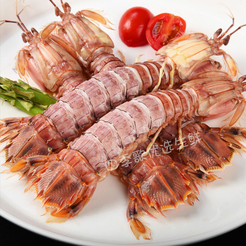 皮皮虾婆婆全母带膏带黄海捕鲜活熟冻超大虾爬虾姑濑尿虾香津驿站 公