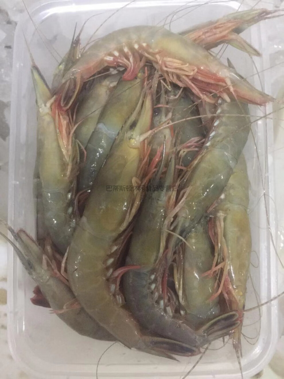 舟山特产大青壳滑皮虾鲜活活皮虾海虾生鲜船冻新鲜上岸条虾 江浙沪 活