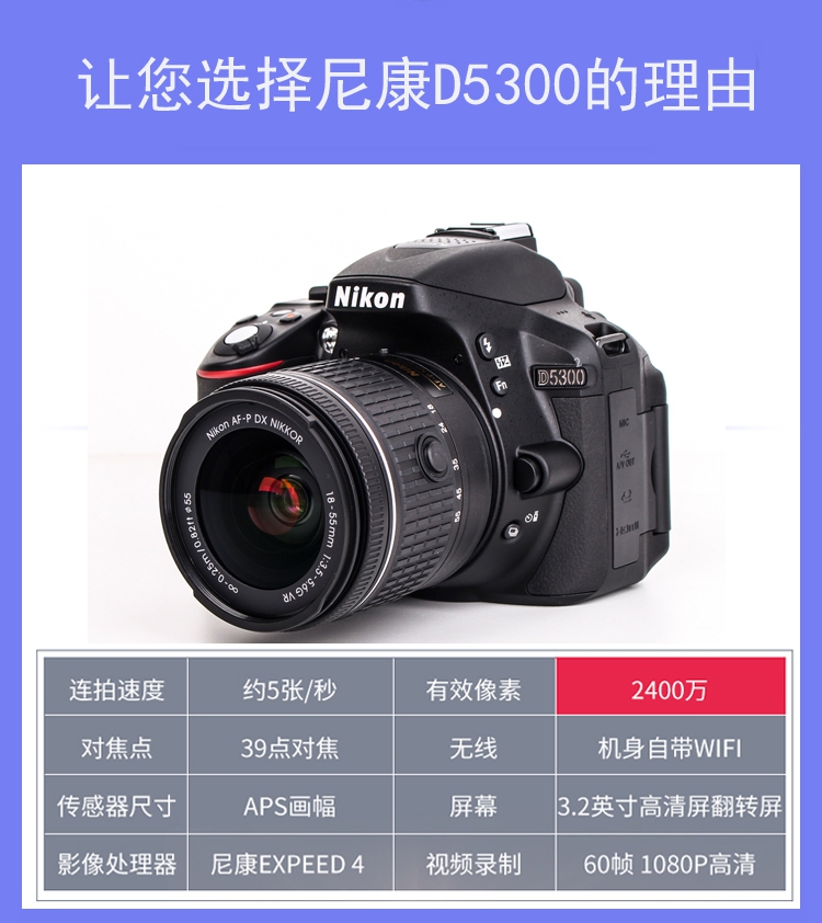 全新nikon尼康d5300高清学生入门数码单反相机d3500d5500d5600全新