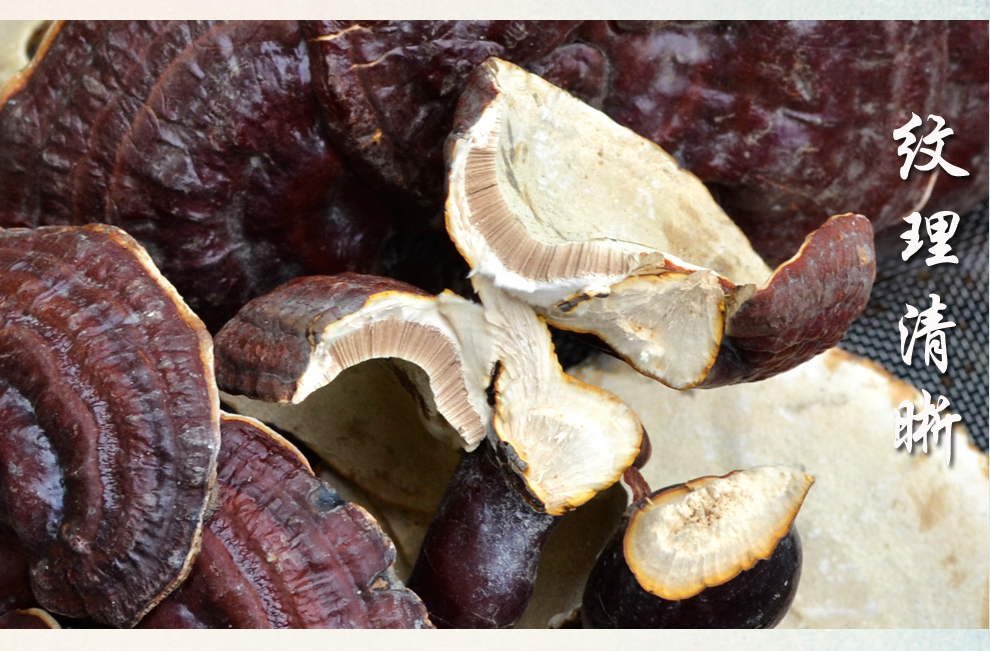 福曦堂白心灵芝白心赤芝西藏灵芝精选货灵芝片5克